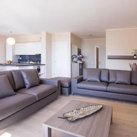 Sanny-grande B Sleeps 8 With Pool By Italian 欧苏西奥